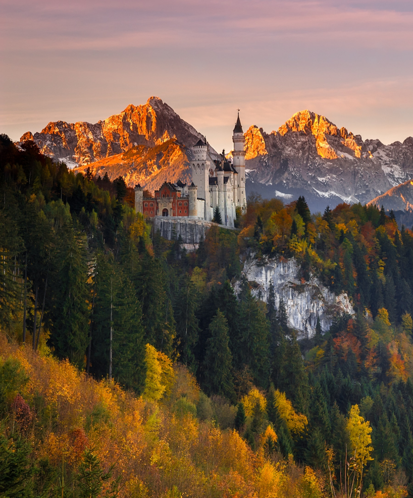 TLScontact - Your partner for all your visa applications to Germany